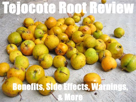 Is tejocote root bad for you. Things To Know About Is tejocote root bad for you. 